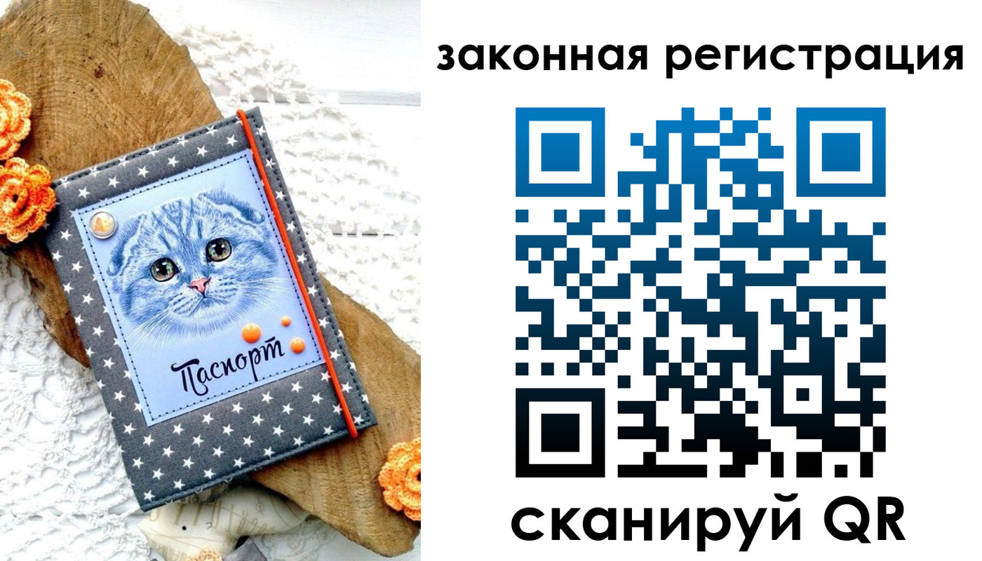регистрация в Новозыбкове